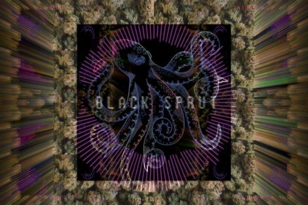 Не могу зайти на кракен